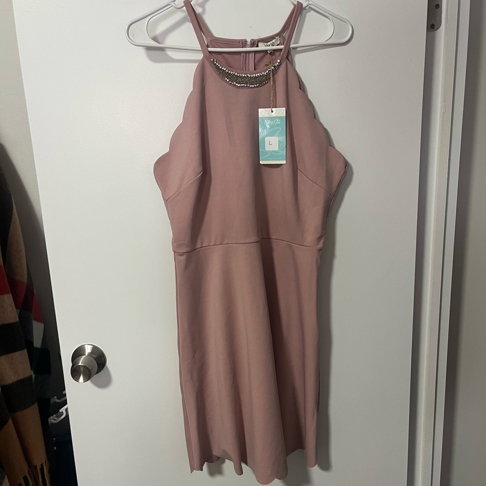 Elegant Blush Mini Dress